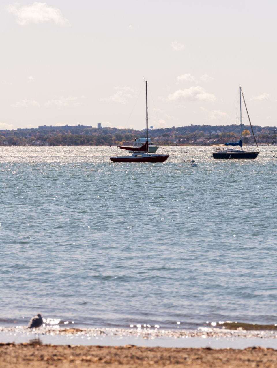 Boats moored at the harbour